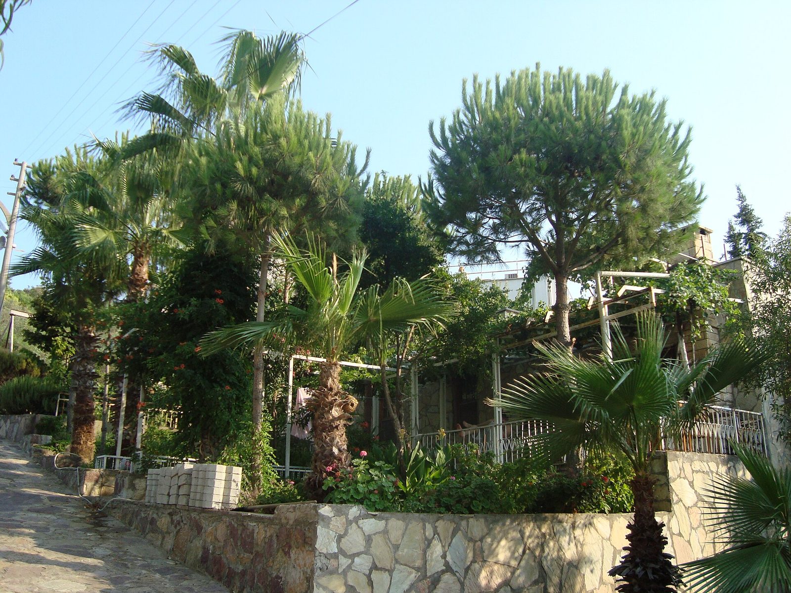 Karia Yolu - Datça Yarımadası - 2. etap: Datça - Emecik